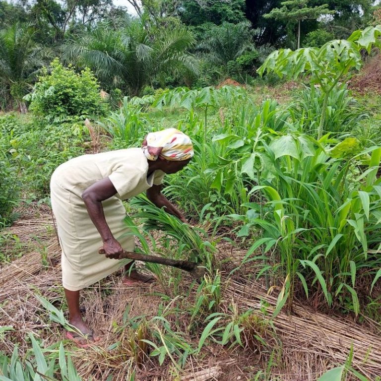 A call for food sovereignty