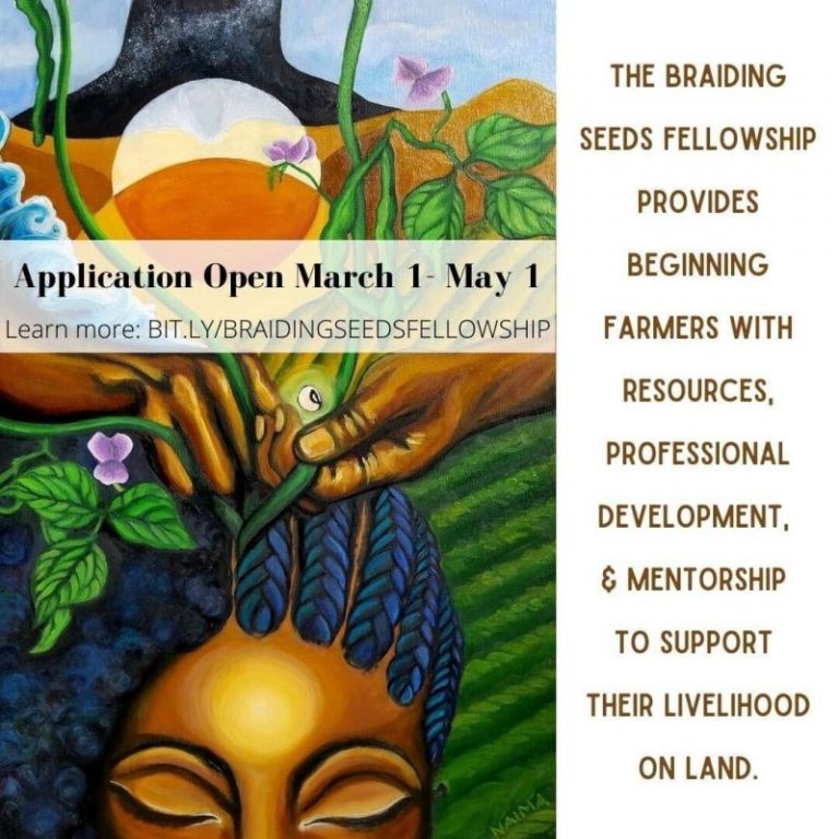 The Braiding Seeds Fellowship