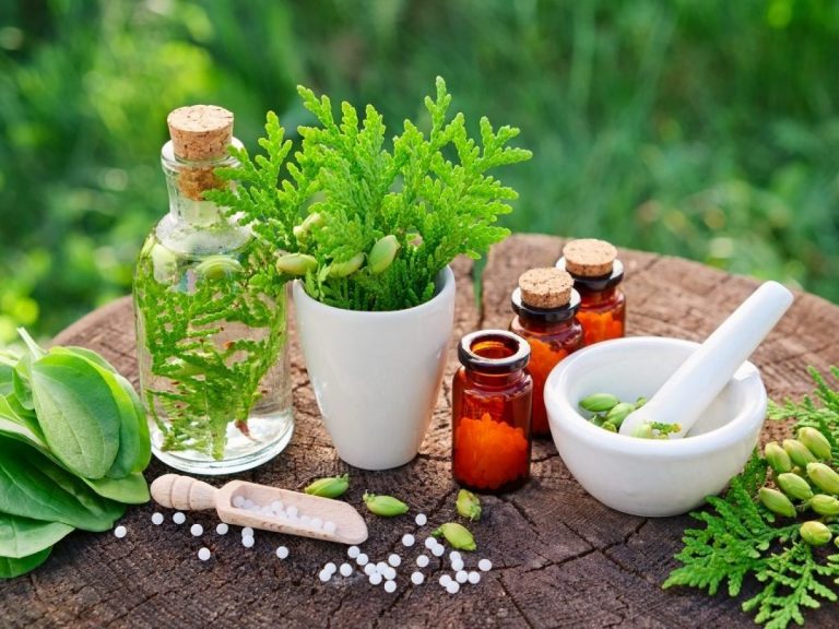 Planting for Medicine and Jobs