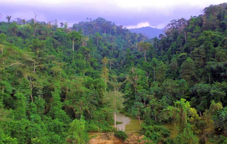 Atewa Forest