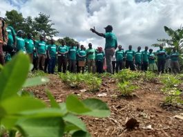 Peasant Farmers Association of Ghana (PFAG)
