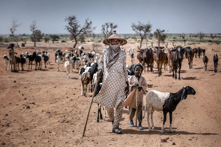 A pastoralist in Niger