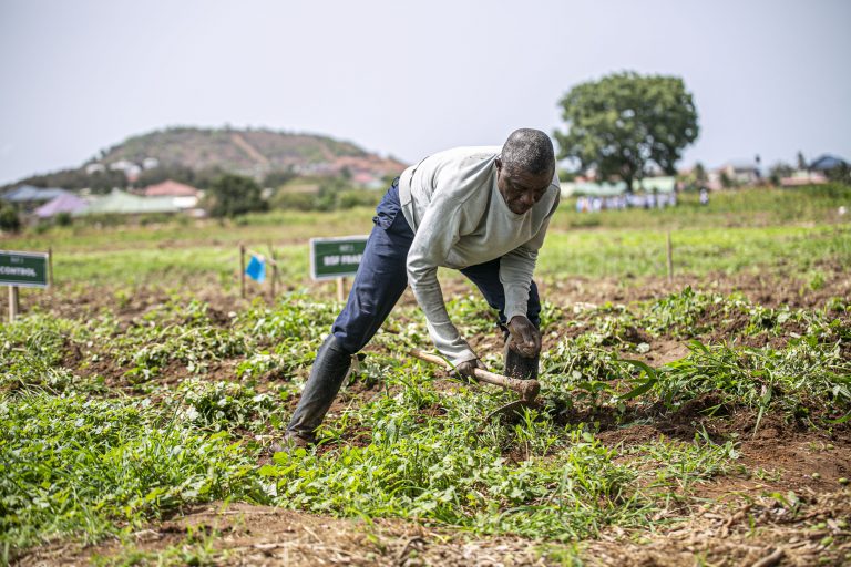 Economics Climate Agric