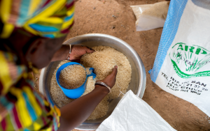 Mali produces on average 3,100,000 tonnes of rice per year.  By 2025, cultivation is supposed to be increased to 5.5 million tonnes.  © GIZ/Klaus Wohlmann