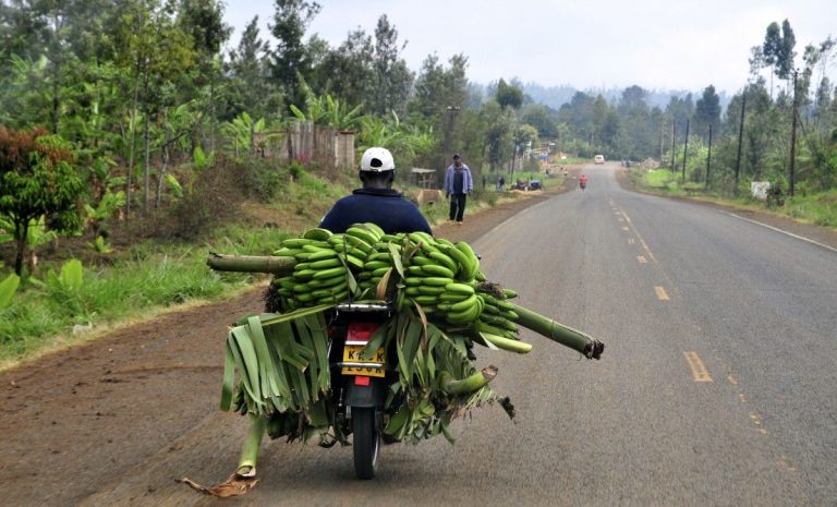 Ministry constructs farm roads