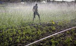 Irrigation