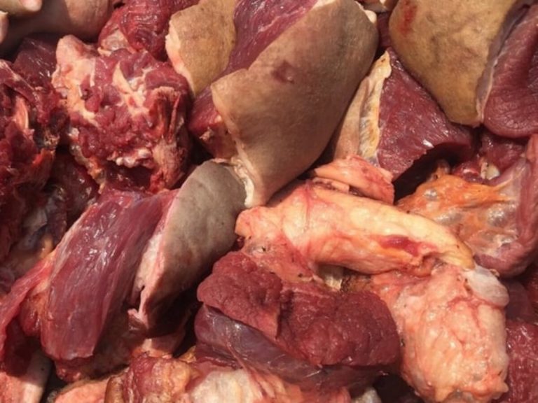 meat value chain
