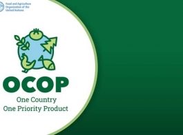 Africa is the first of FAO’s regions to launch the One Country One Priority Product initiative.