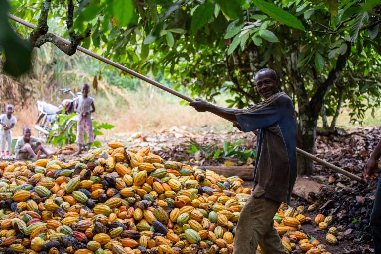 Fairtrade Africa-Cocoa