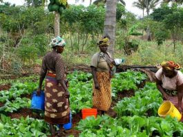 women farmers