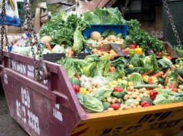 food waste