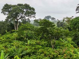 biodiversity conservation