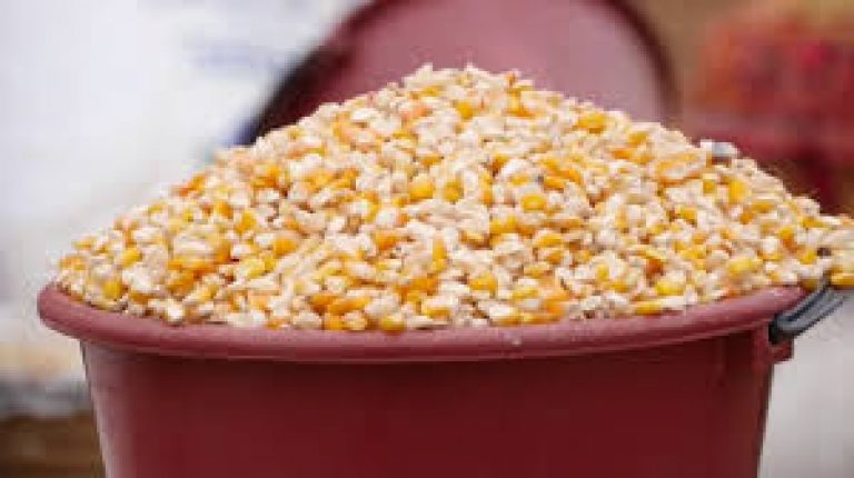 corn