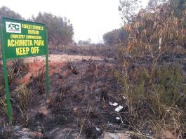 Achimota Forest