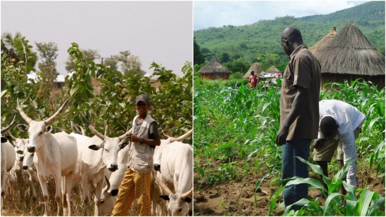 Herders Farmers