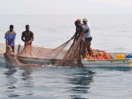artisanal fishers