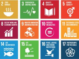 Sustainable Development Goals (SDGs)