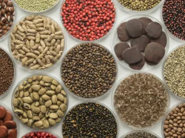 seeds