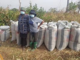 Support Farmers