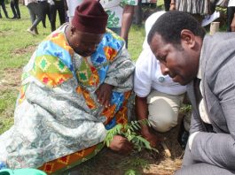 Environment Green Ghanapix