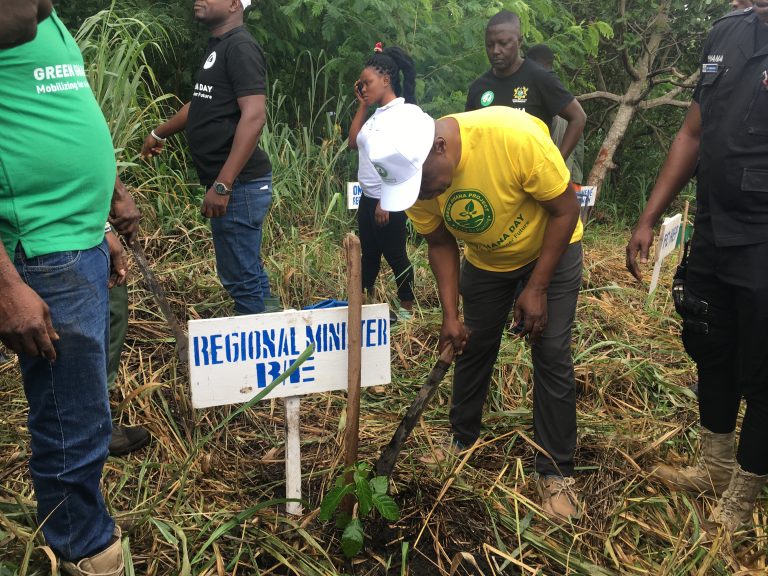 Mr. Adu-Gyan planting a tree to commemorate the day