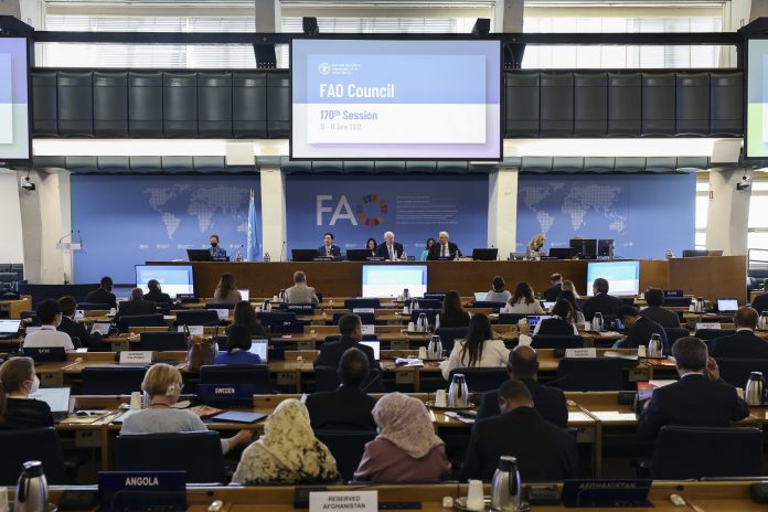 The 170th session of the FAO Council is taking place at FAO Headquarters in Rome.