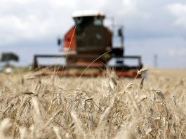 Over the next decade, global agricultural production is projected to increase by 1.1% per year, with the additional output to be mainly produced in middle- and low-income countries.