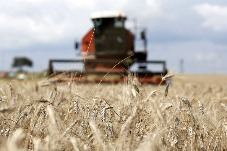 Over the next decade, global agricultural production is projected to increase by 1.1% per year, with the additional output to be mainly produced in middle- and low-income countries.