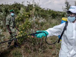 Sergeant Brian Odhiambo imparts a lesson on how to use spraying tools to National Youth Service officers during a training on desert locust control in Gilgil, Kenya.