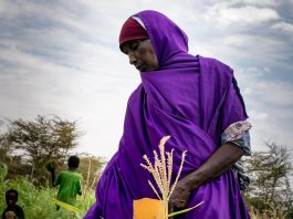 A FAO beneficiary works on her farm in Dolow, Somalia.
