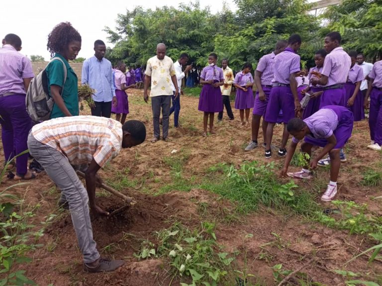 School Gardening