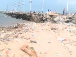 Tema Chief Fisherman
