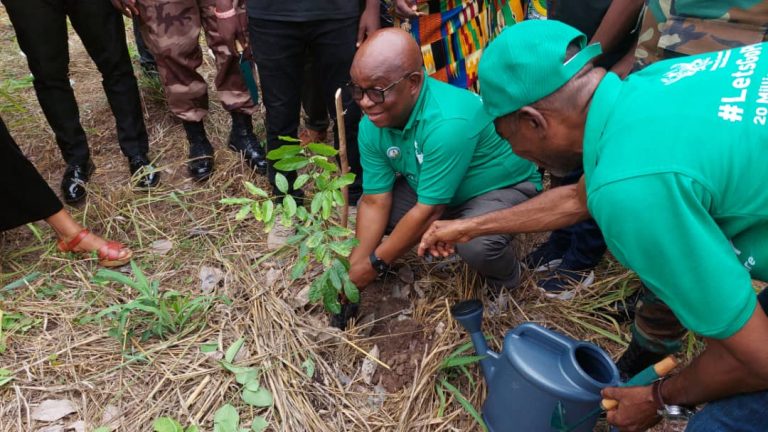 Tree Planting