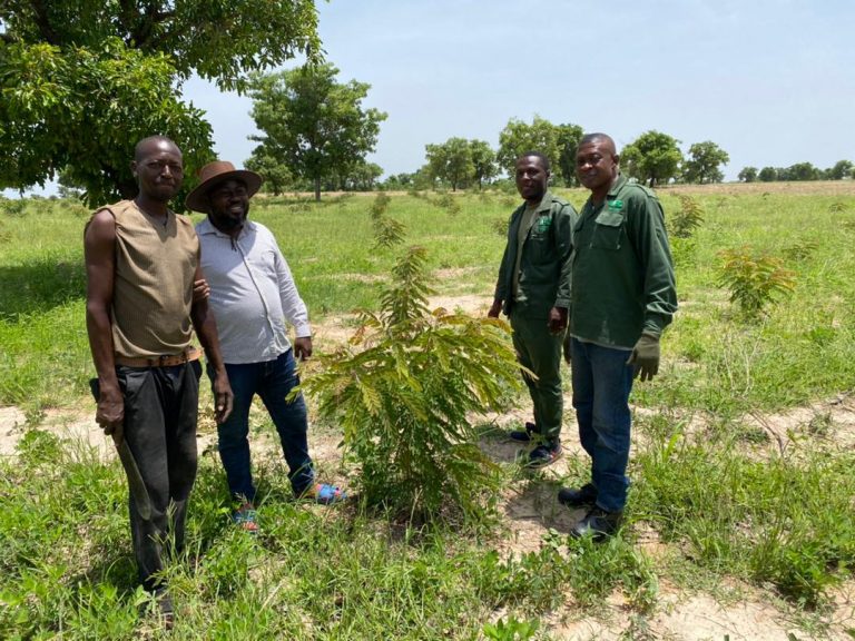 The MCE of Sissalla East planting a tree