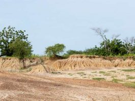 land degradation
