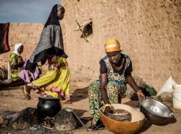 Improving Africa’s food safety is a fundamental plank of Africa’s progress, Photo: © FAO/Luis Tato