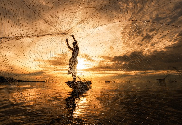 Aquatic foods are contributing more than ever before to food security and nutrition.