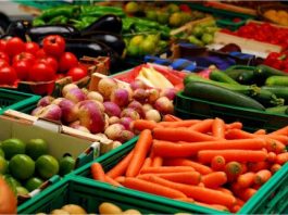 vegetable exports