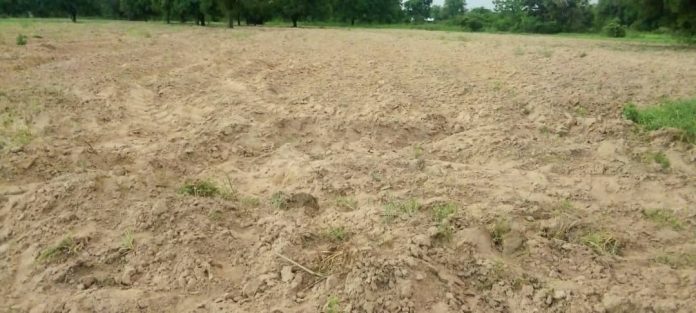 Pictures of farmlands where maize had been grown yet to germinate