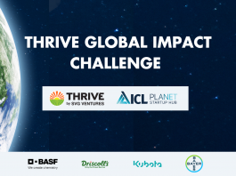 THRIVE Global Impact Challenge