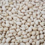 cowpea