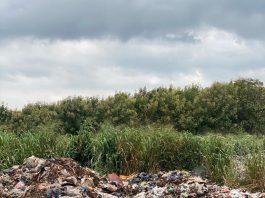 Environment Executive Tour 1