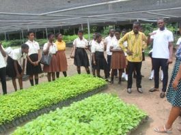 Science Institute Outreach 1