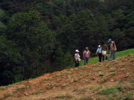 Farmers at work in Guatemala.