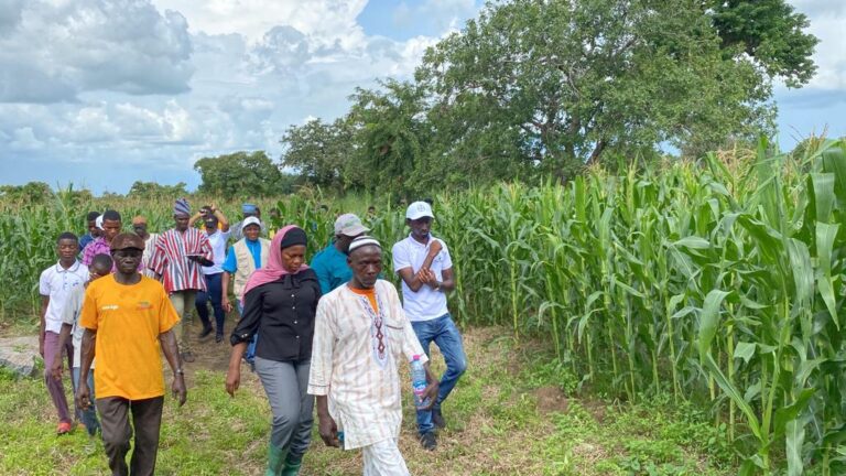 Chi-Gaba farmers at one of the maize fields with the MFA and DCE in Duwie