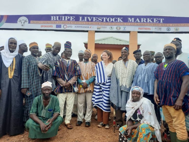 Economics Livestock Market