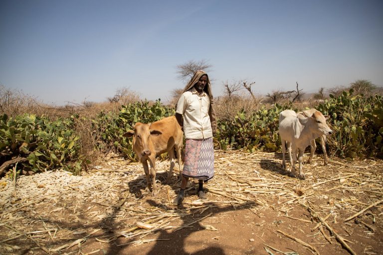 The USA funds will be used to supply aid and technical assistance to smallholder farmers and livestock-dependent communities.