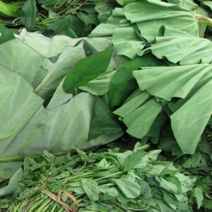 leafy vegetables in Ghana