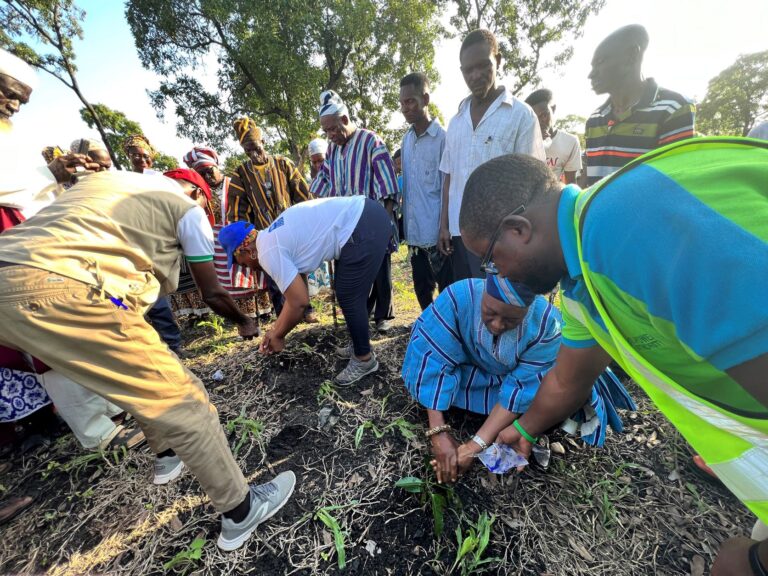 Tree Planting