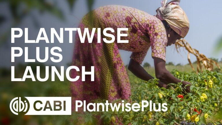 PlantwisePlus